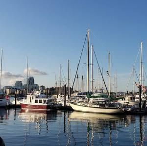 Meet your Posher, Emily